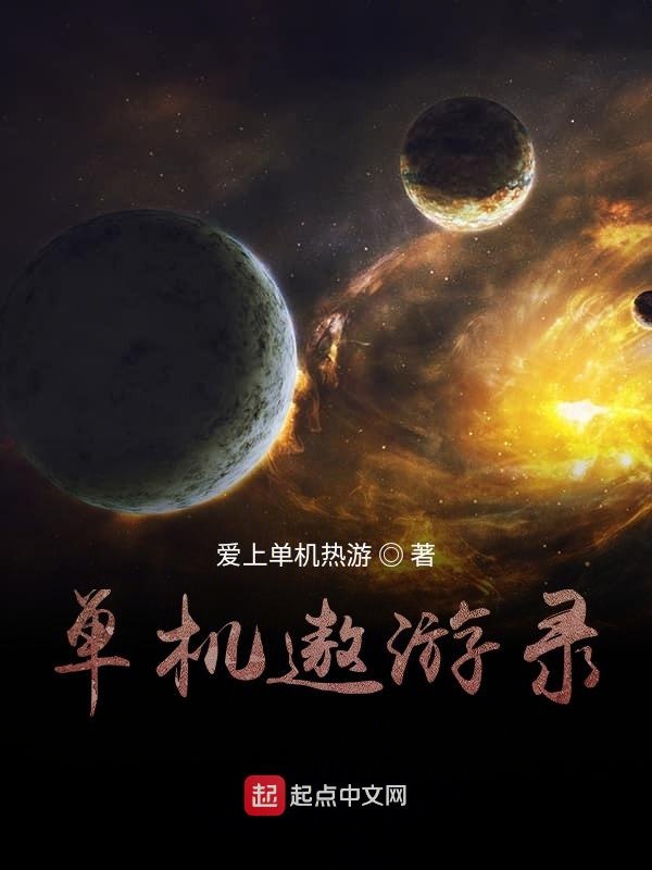 单机遨游录 单机遨游录