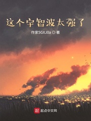 这个宇智波有点穷小说