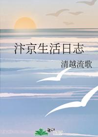 汴京生活日志 汴京生活日志