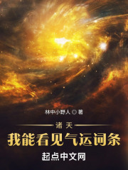 诸天:我能看见气运词条 诸天:我能看见气运词条