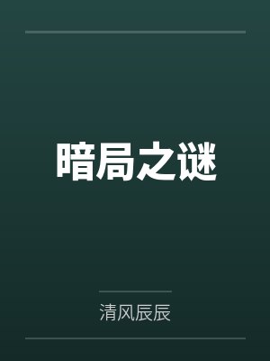暗局之谜