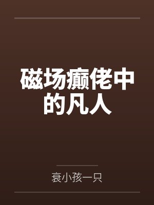 磁场癫佬中的凡人 磁场癫佬中的凡人