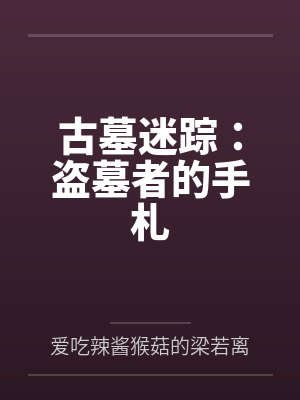 古墓迷踪：盗墓者的手札